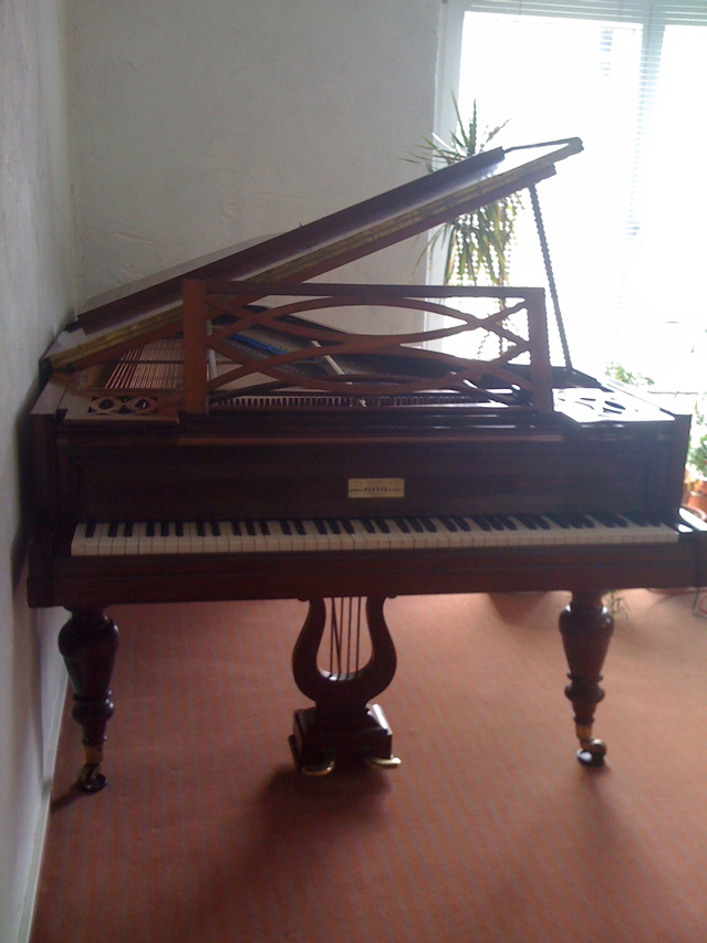 Pleyel1860.JPG